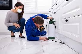 Best Fumigation Services  in Hoxie, AR